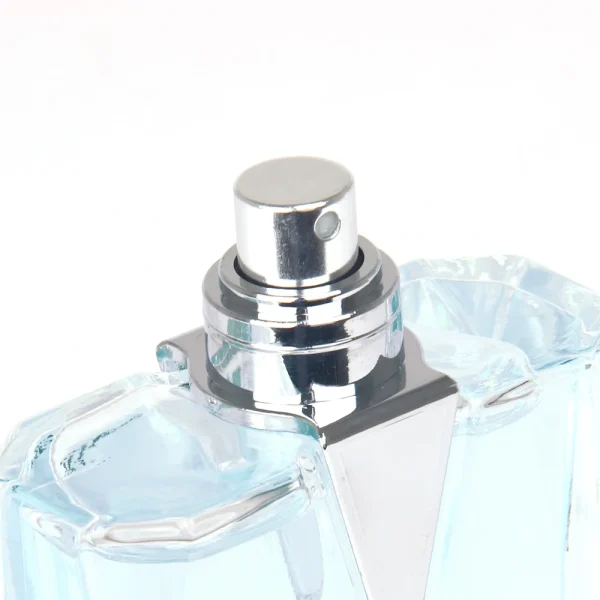 New Coming Hot Selling 100ml Perfumes Fragrance for Man - Image 3